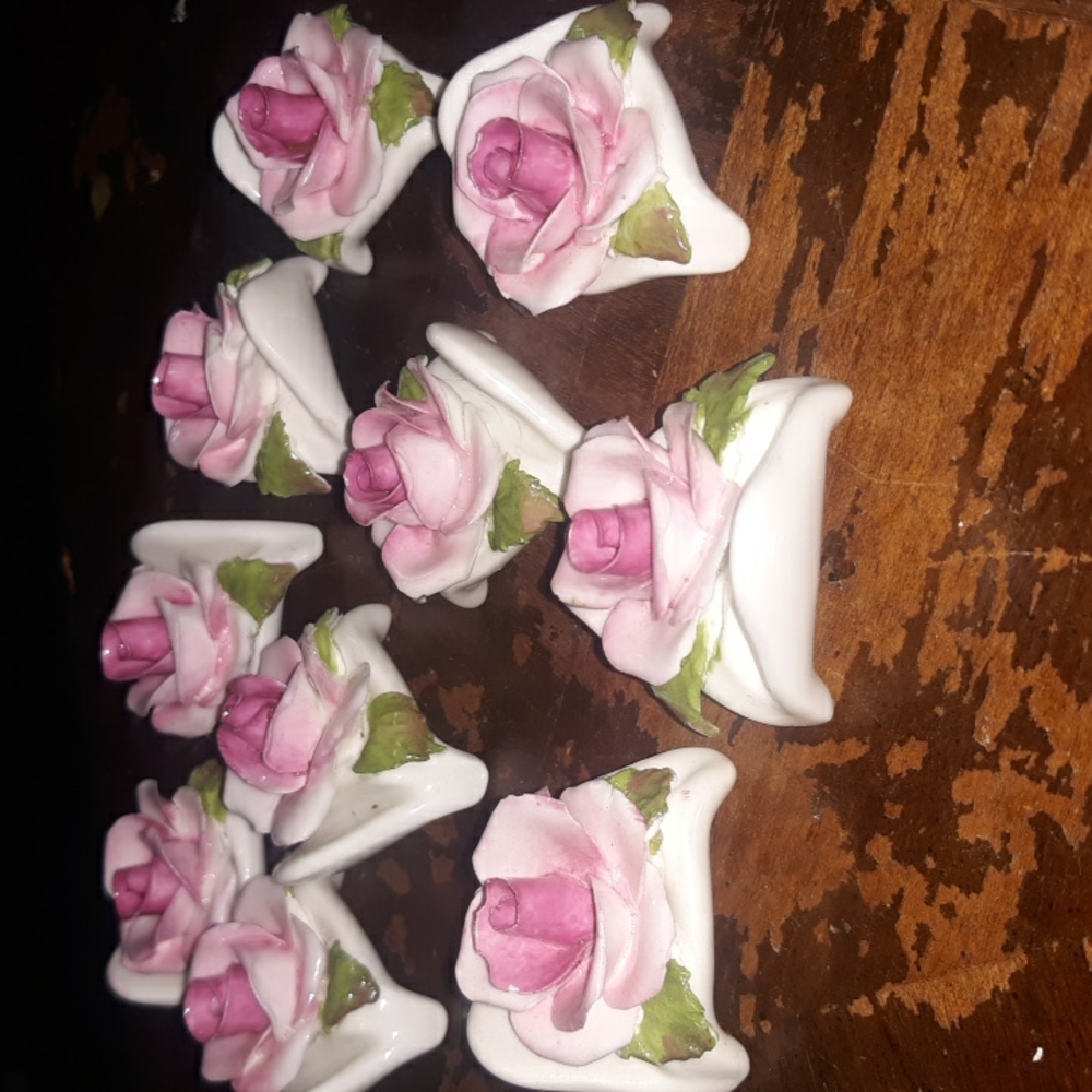WOW lot of 10 Aynsley England Miniture Bone China Flowers